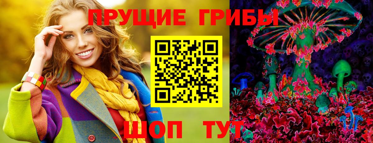 Алушта  Галлюциногенные грибы Psilocybine cubensis  Вход с VPN 